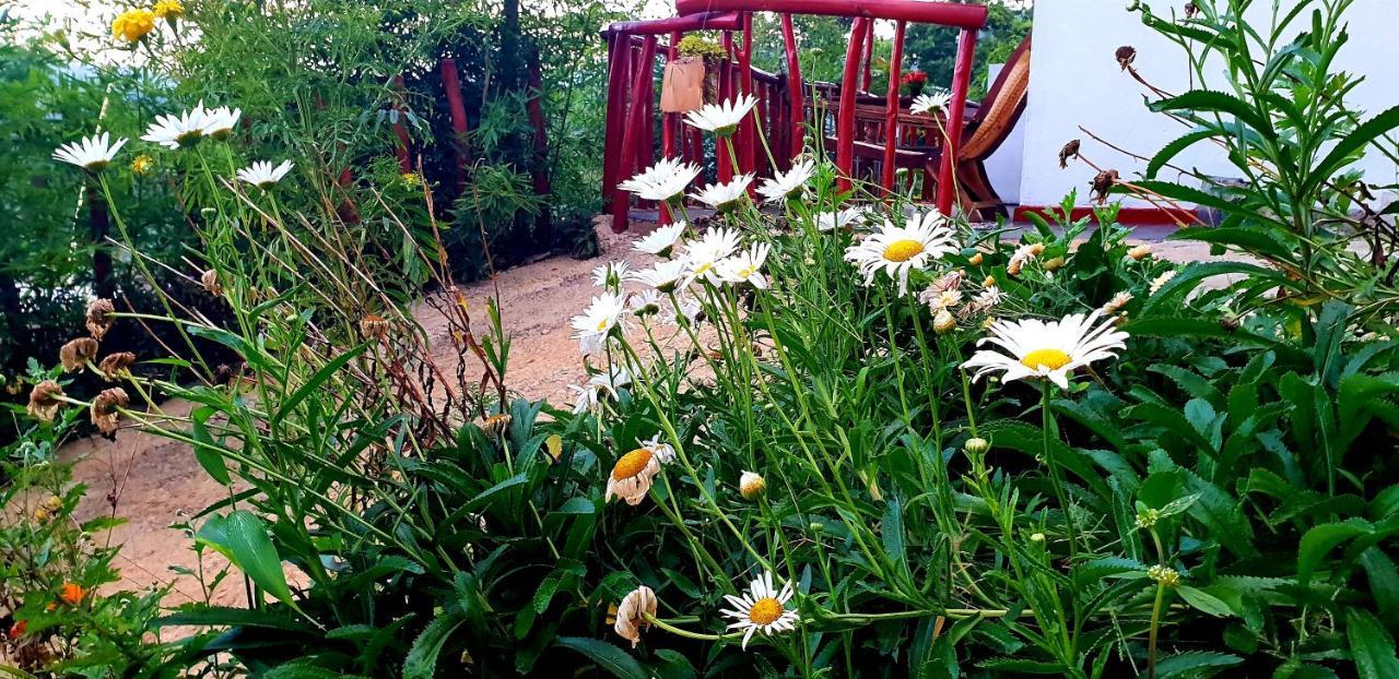 Bed and Breakfast Adannz Элла Экстерьер фото